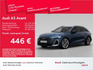 erstes Vorschaubild