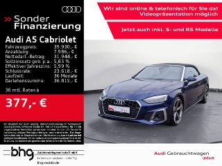 erstes Vorschaubild