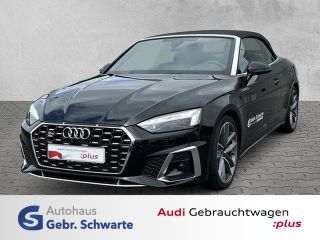 erstes Vorschaubild