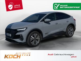 erstes Vorschaubild