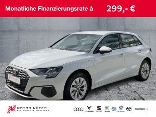 erstes Vorschaubild