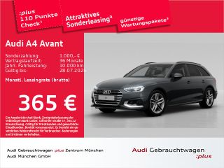 erstes Vorschaubild