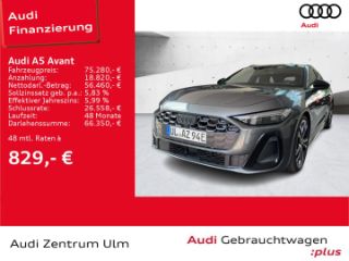 erstes Vorschaubild