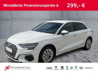 erstes Vorschaubild