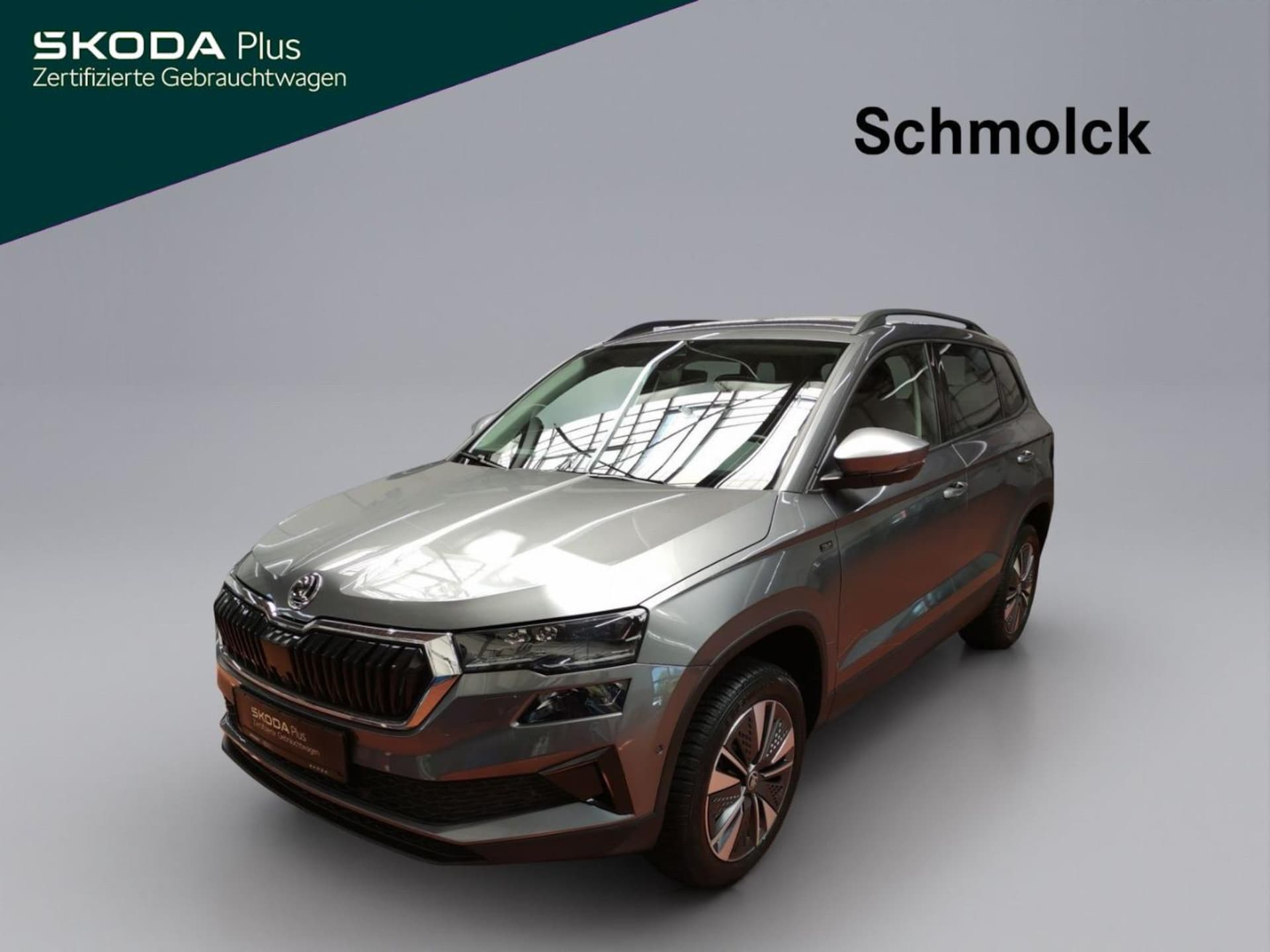 Skoda Karoq Selection