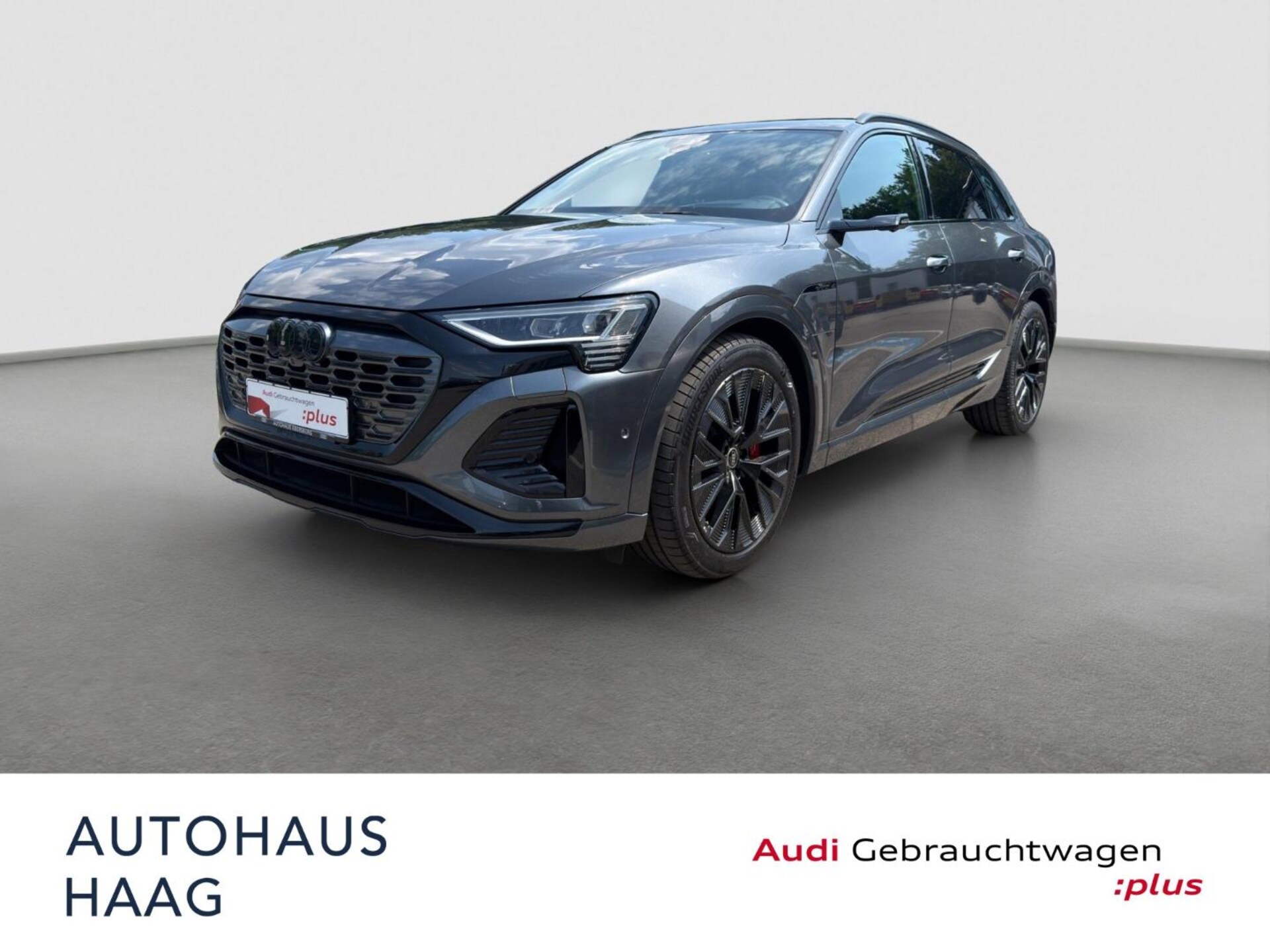 Audi Q8 e-tron S line
