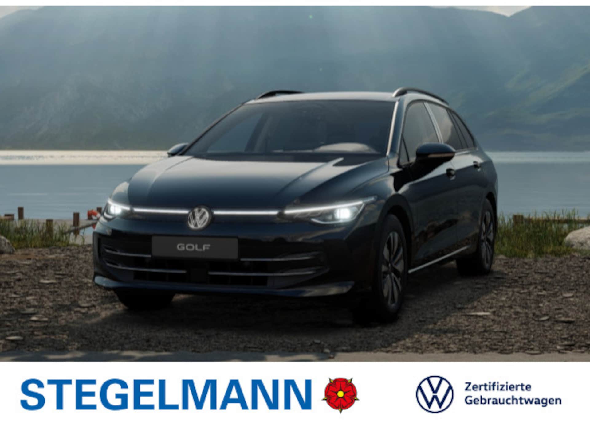 Volkswagen Golf Variant Goal