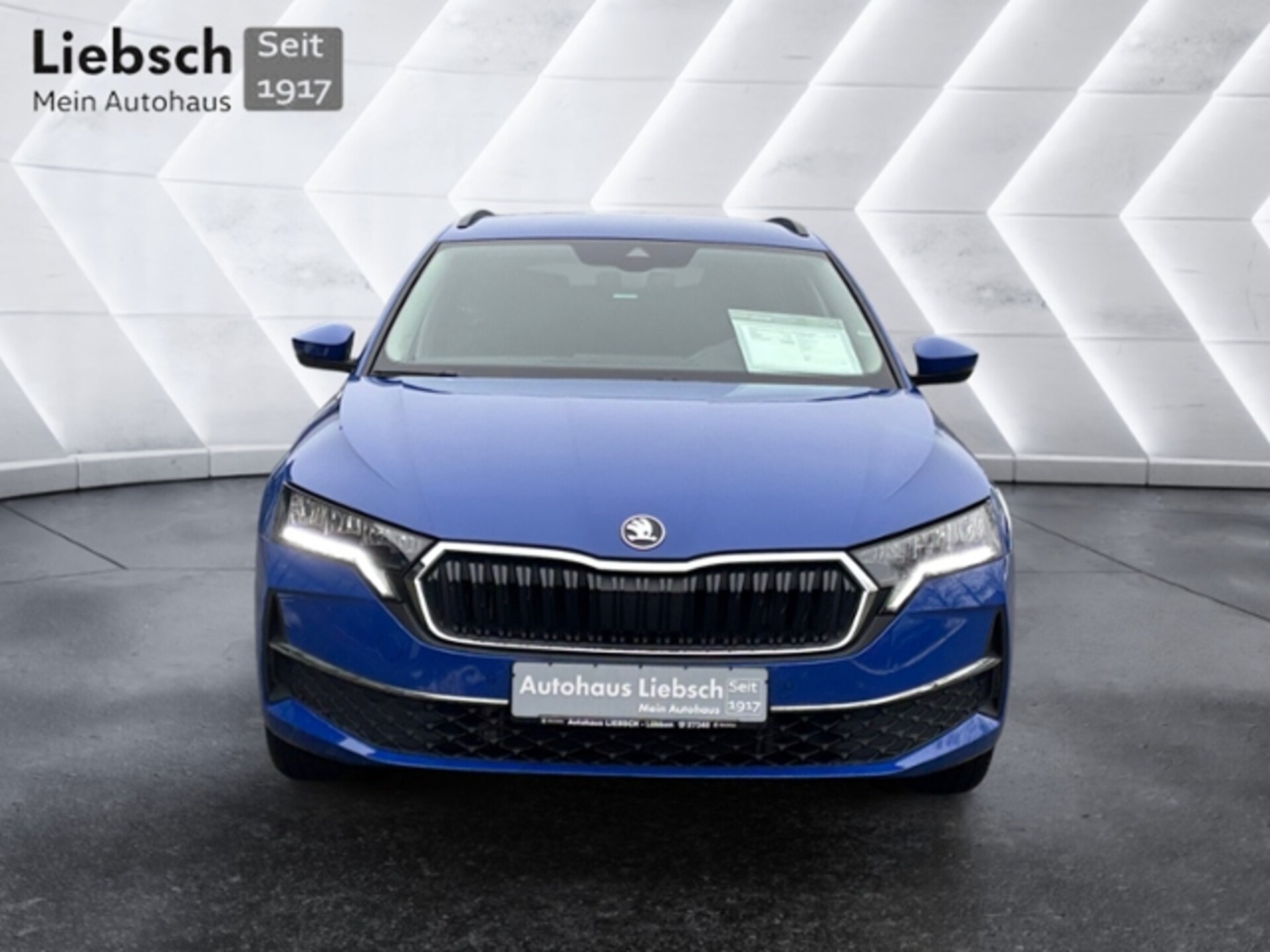 Skoda Octavia Combi Selection