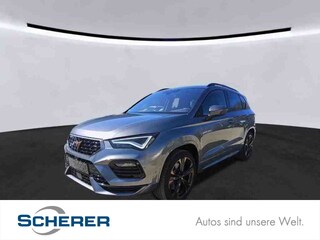 erstes Vorschaubild