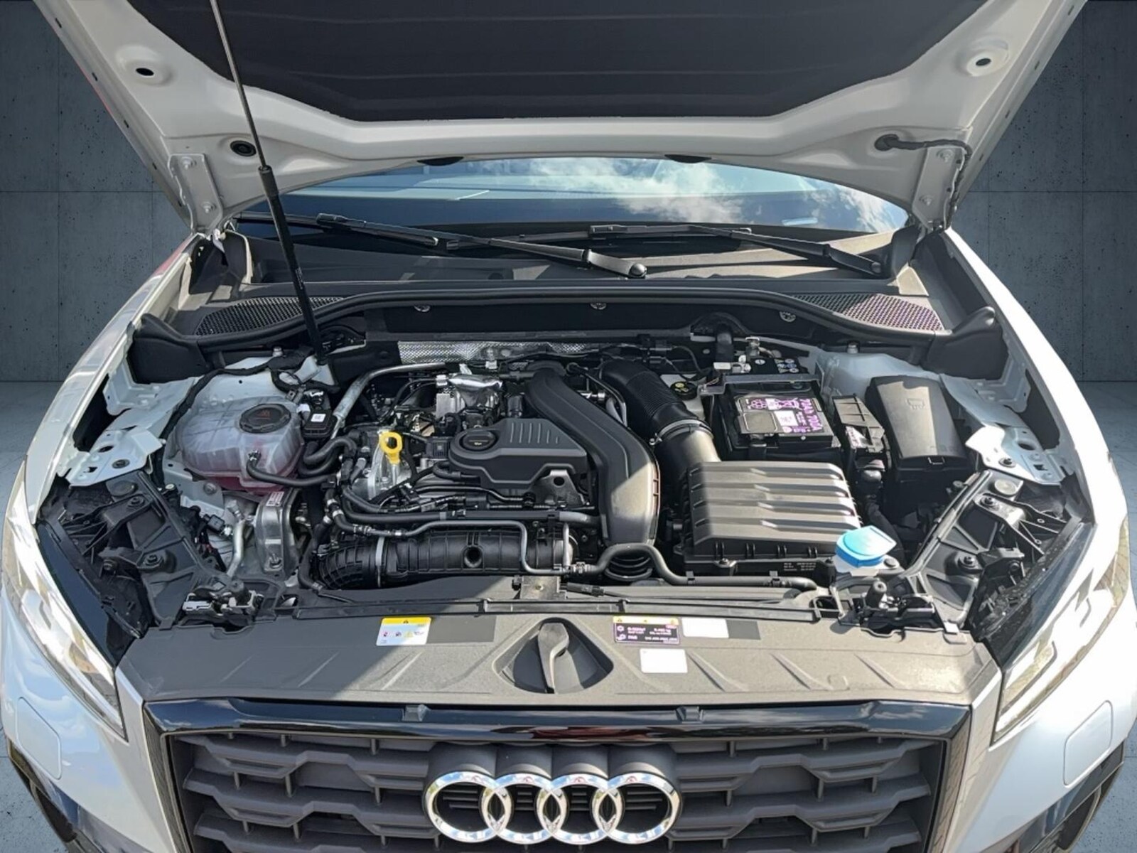 Audi Q2 – Bild 15