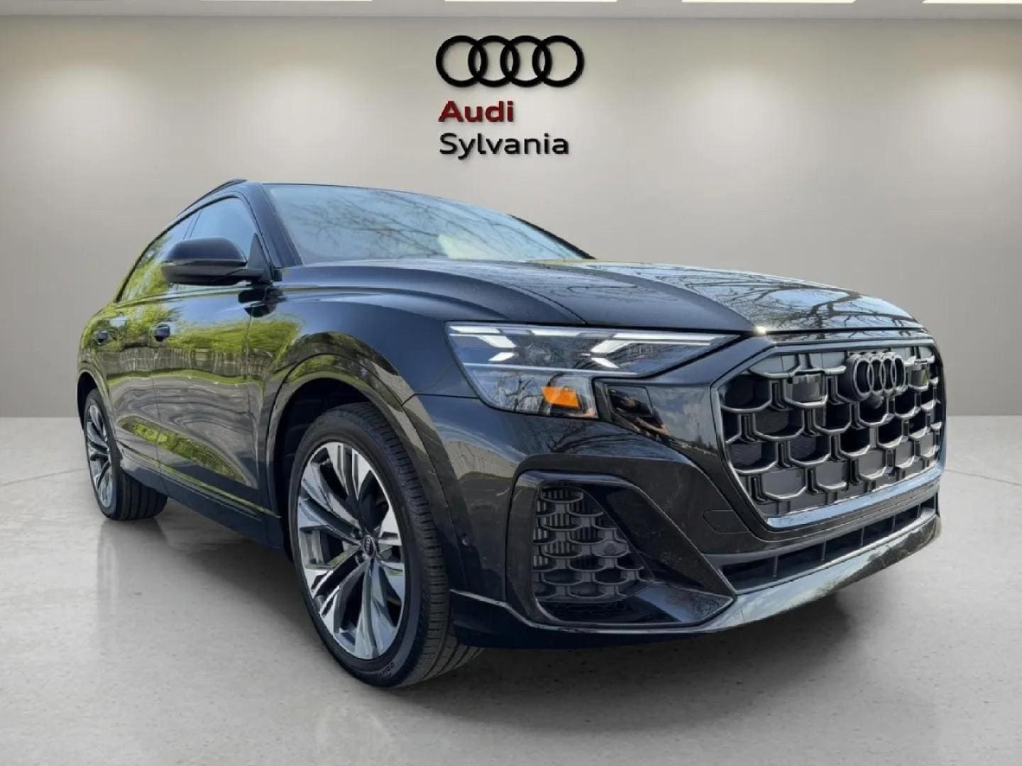 2024 Audi Q8 55 Prestige Tiptonic quattro's photo