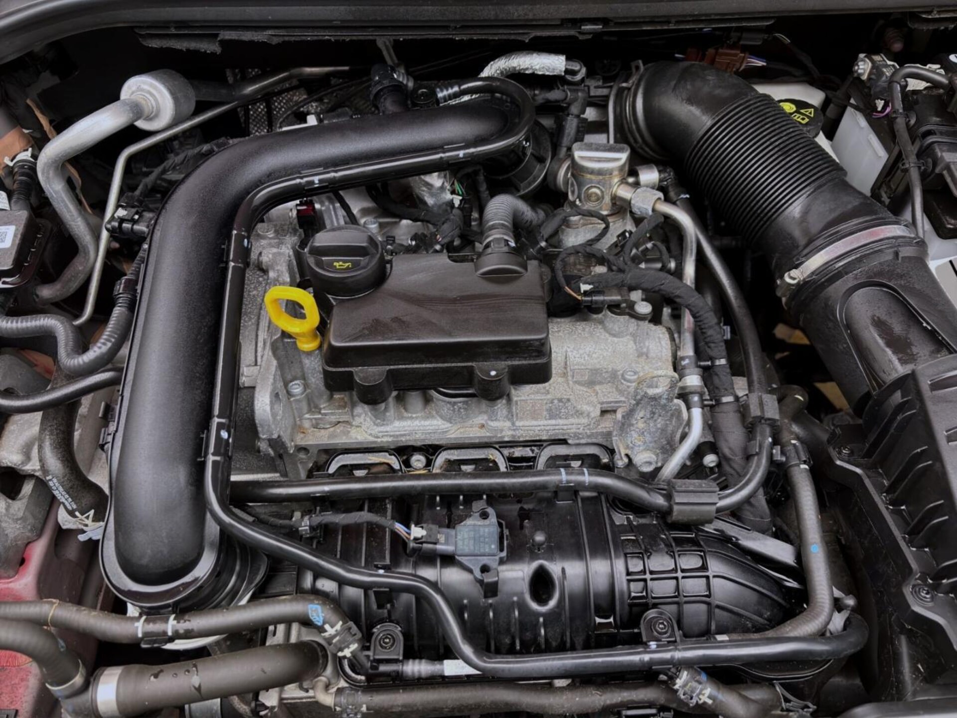 SEAT Ibiza FR