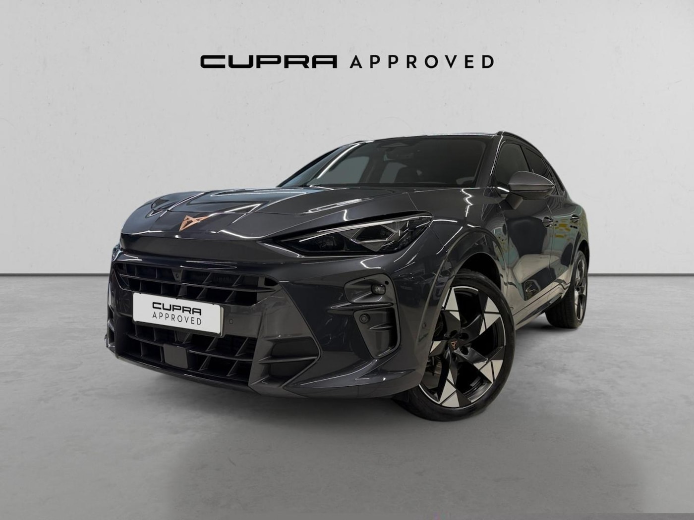 CUPRA Terramar 1.5 eTSI DSG 110 kW (150 CV) — photo 13