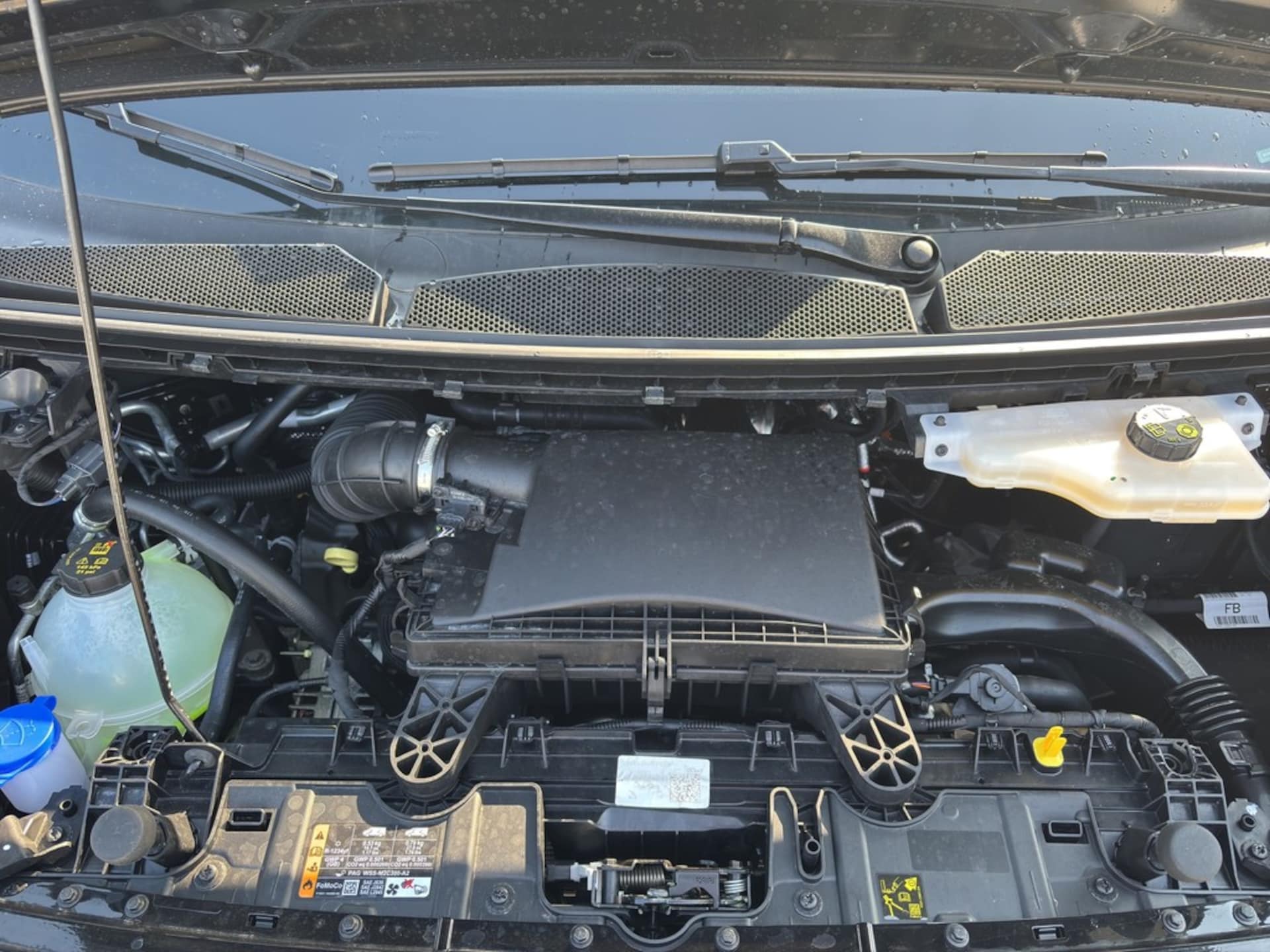 Volkswagen Caravelle langer Radstand Life