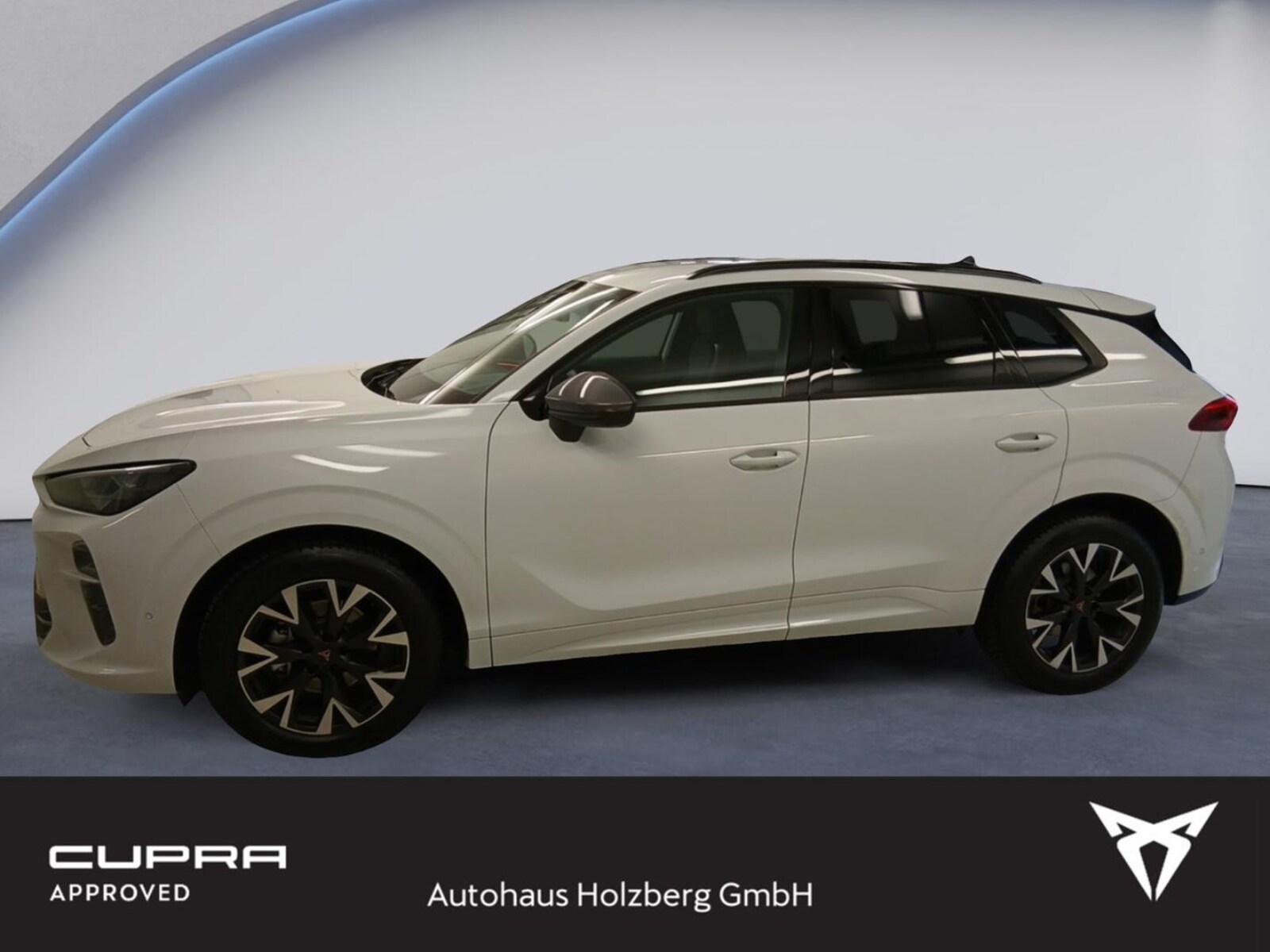 CUPRA Terramar – Bild 2