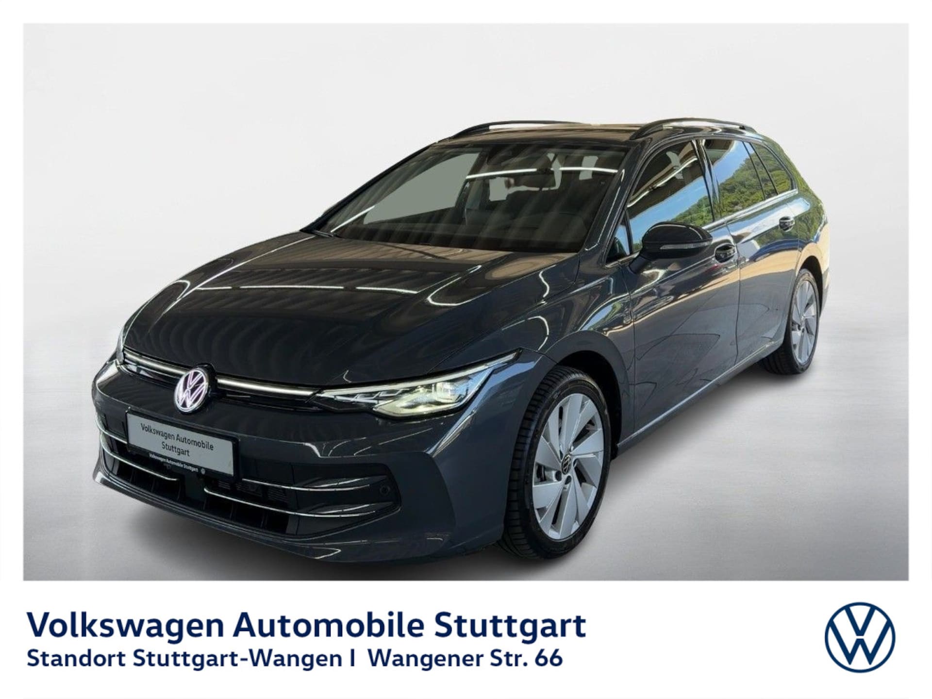Volkswagen Golf Variant Style