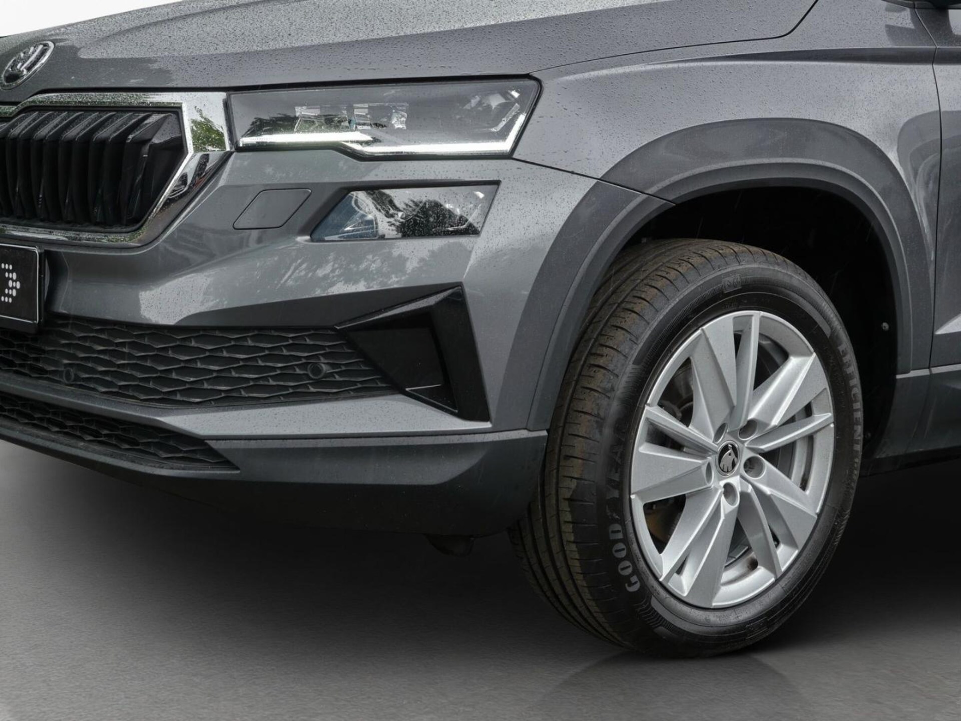 Skoda Karoq Selection