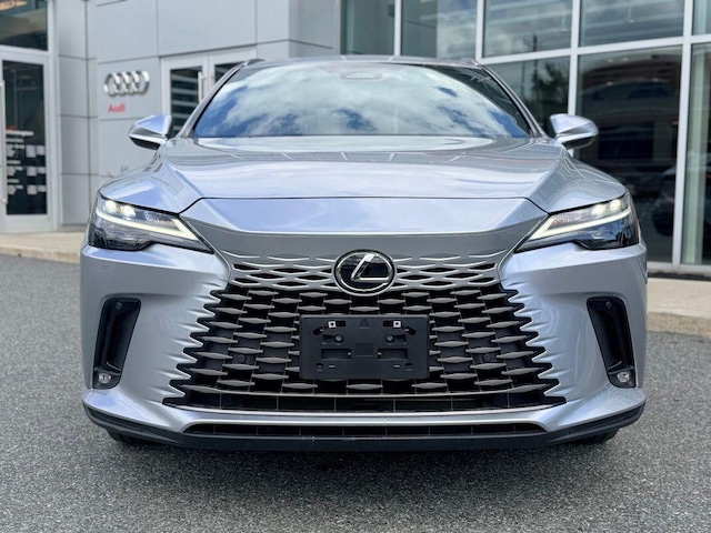 2023 Lexus RX 350 - Photo 6