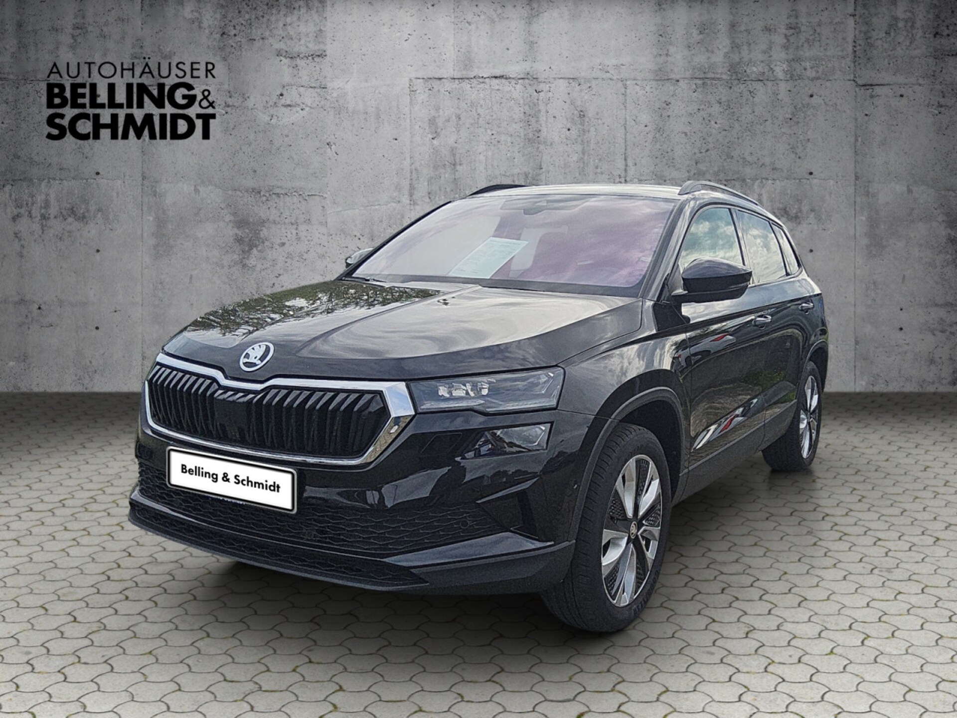 Skoda Karoq Style