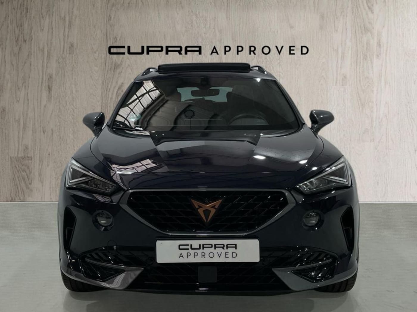 CUPRA Formentor 2.0 TSI 4Drive DSG 140 kW (190 CV) — photo 12