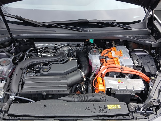 Bild des Autos 19