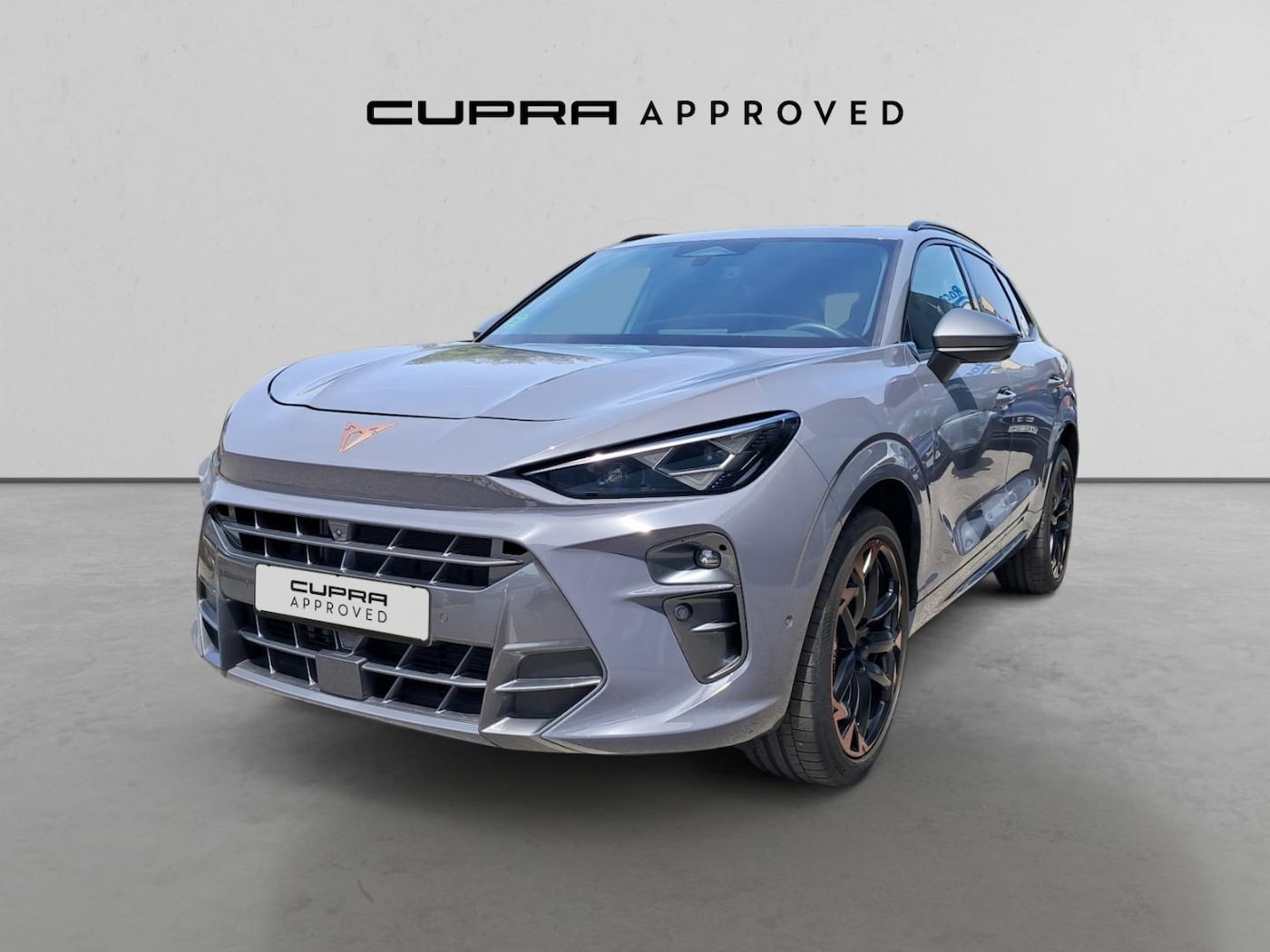 CUPRA Terramar 2.0 TSI VZ 4 Drive DSG 195 kW (265 CV) — photo 13