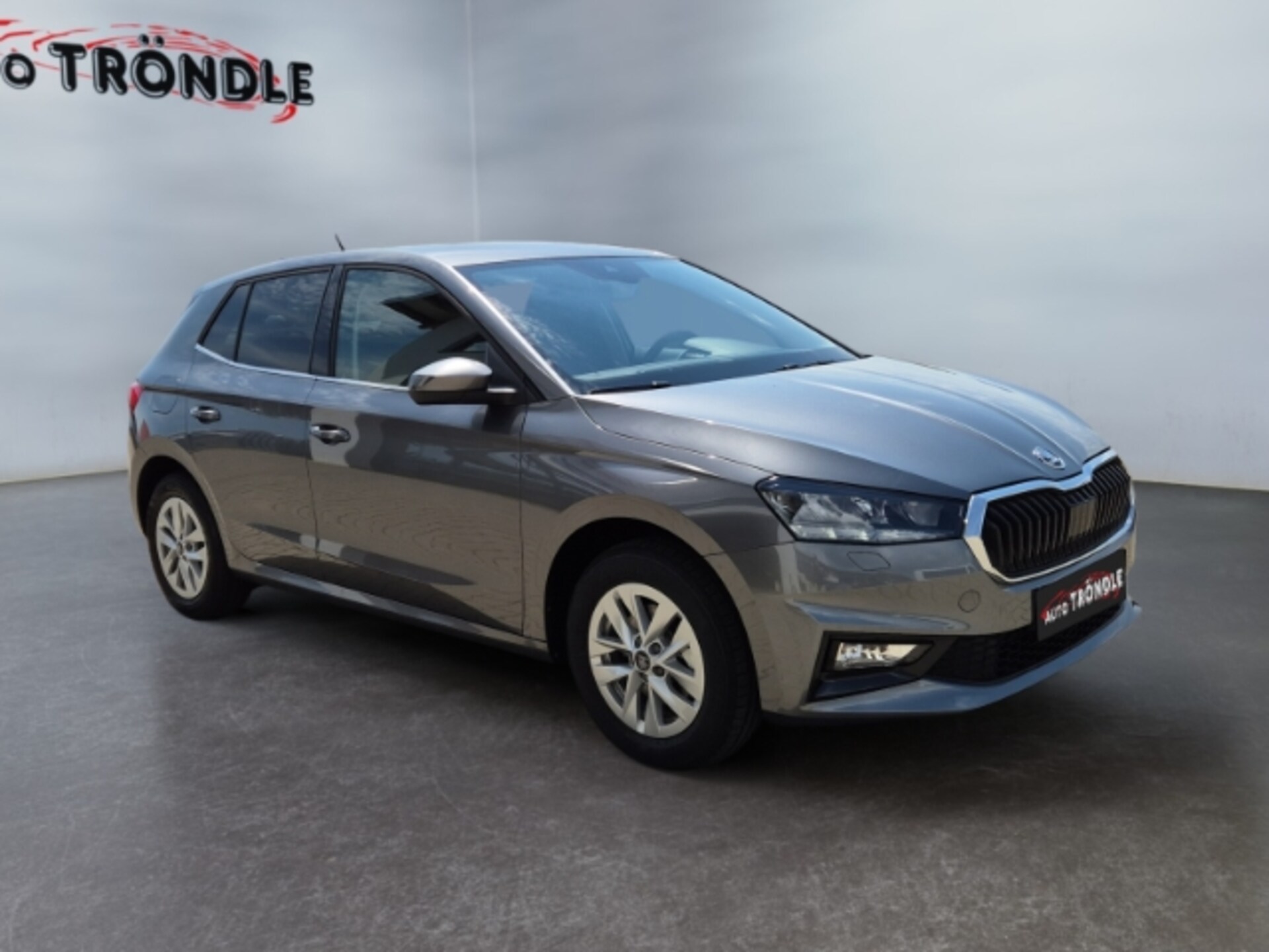 Skoda Fabia Selection