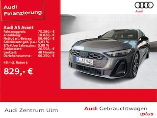 erstes Vorschaubild