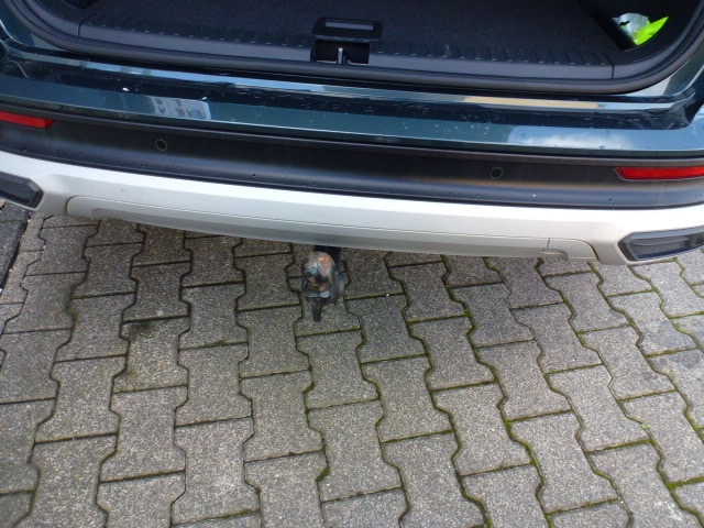 Bild des Autos 9