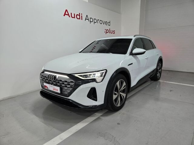 Audi Q8 e-tron 55 quattro kW