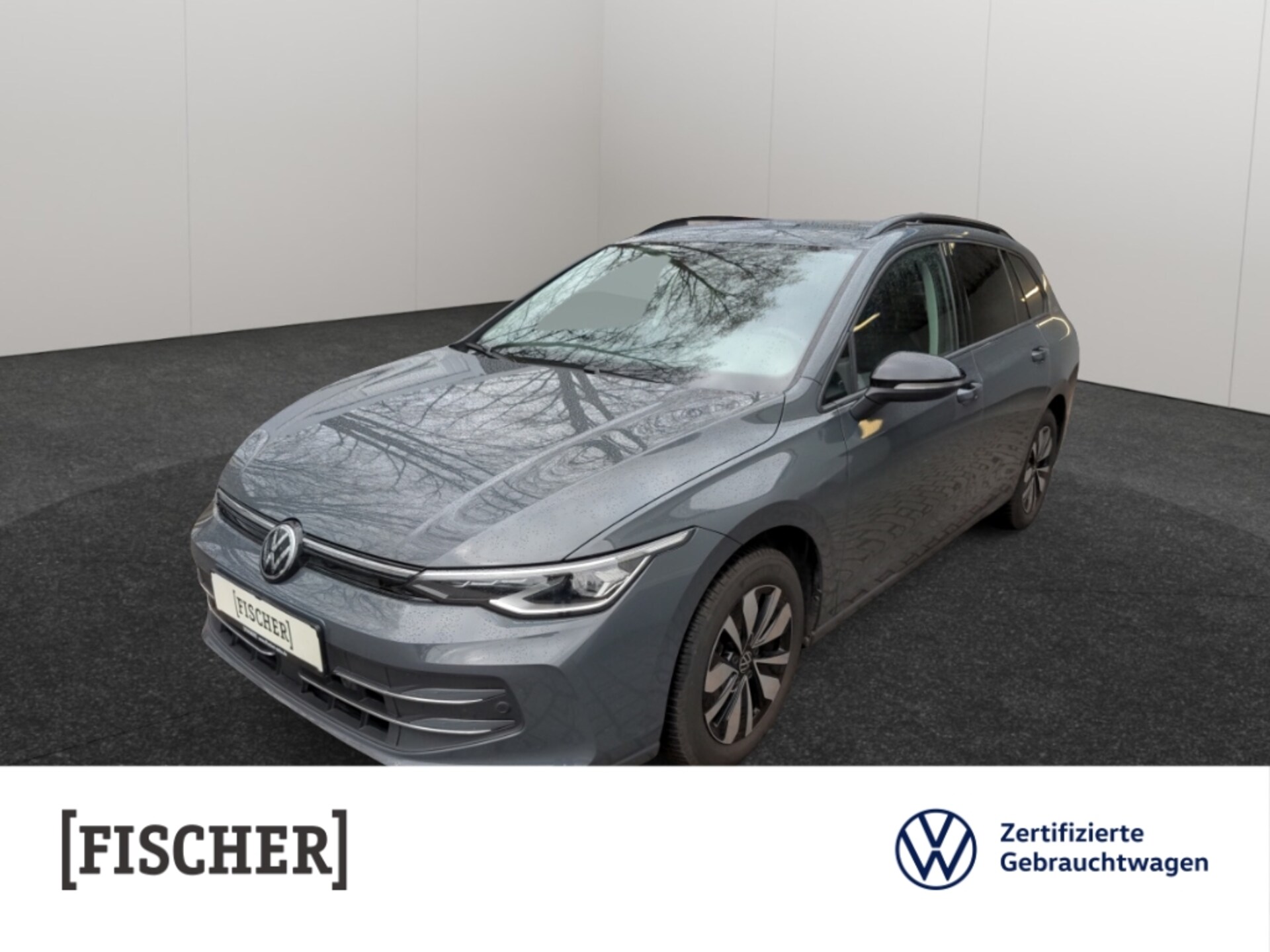 Volkswagen Golf Variant Goal