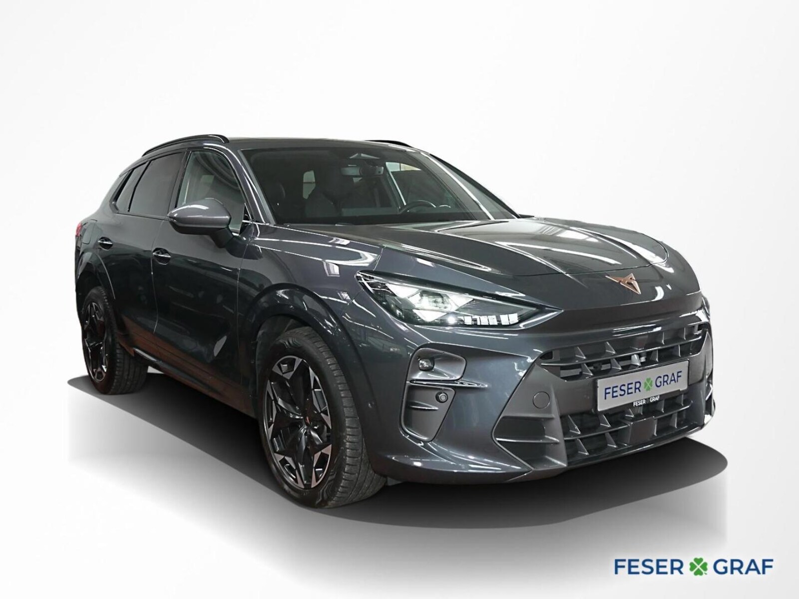 CUPRA Terramar – Bild 2