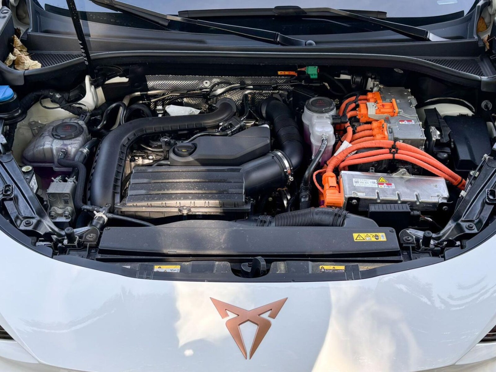 CUPRA Terramar – Bild 14