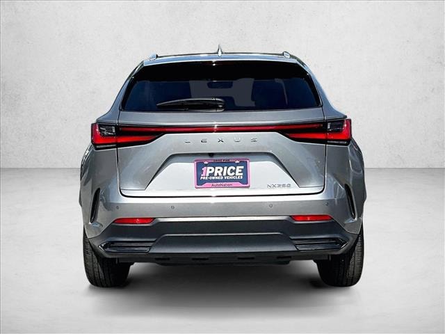 2024 Lexus NX 250