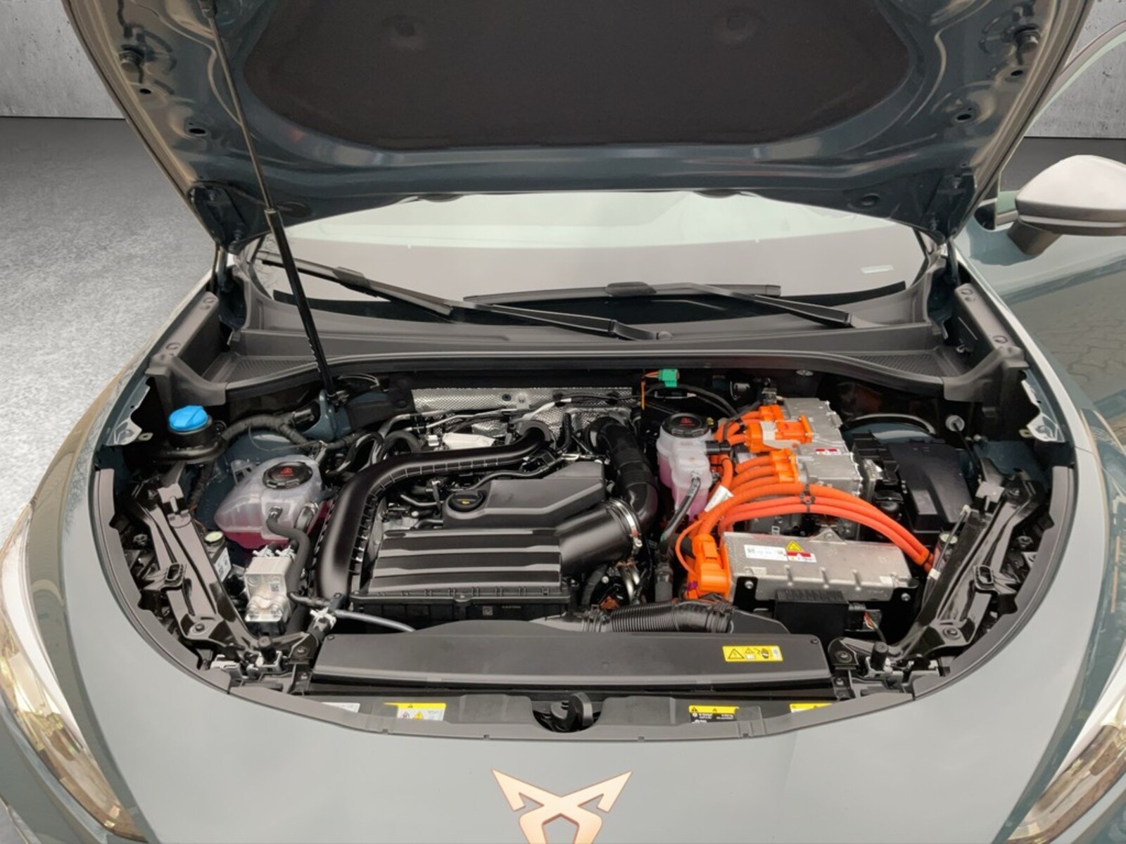 CUPRA Terramar – Bild 19