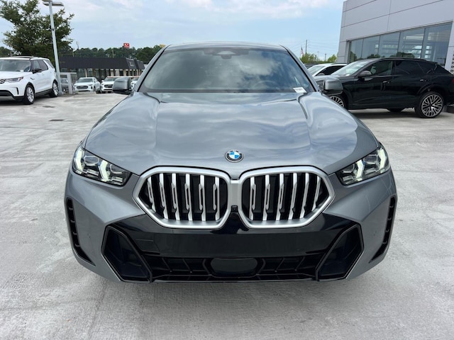 2026 BMW X6