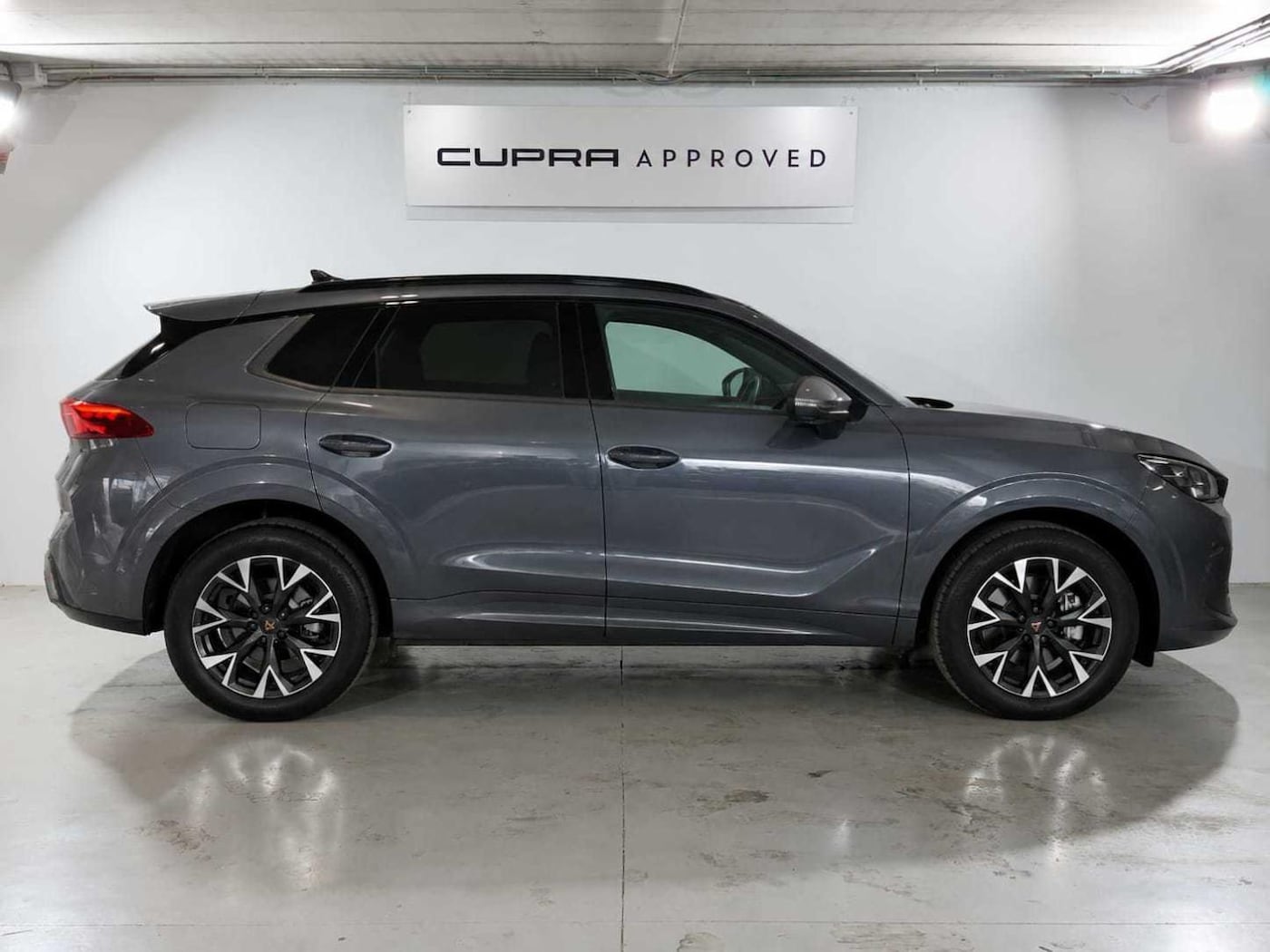 CUPRA Terramar 1.5 eTSI DSG 110 kW (150 CV) — photo 3