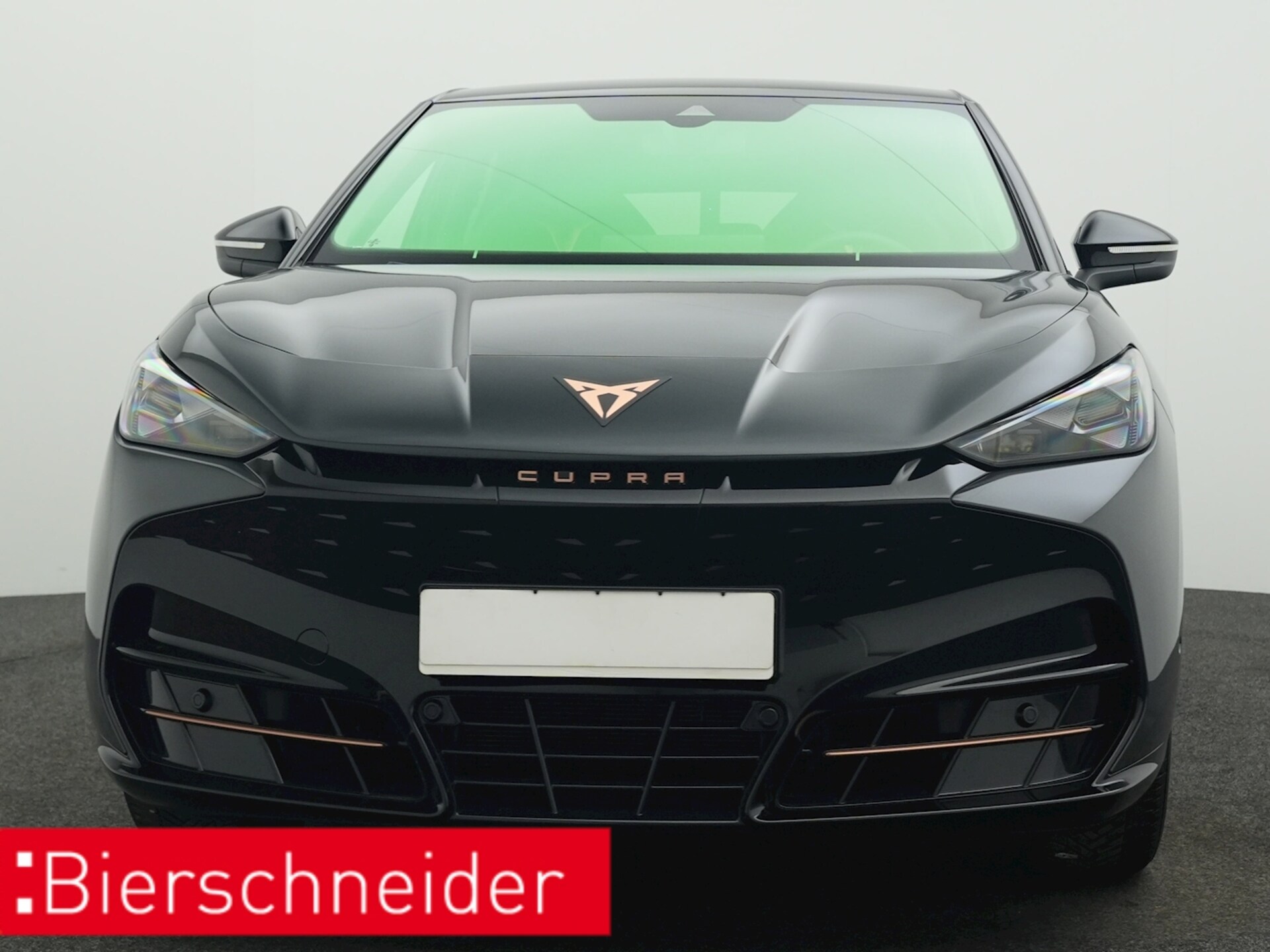 CUPRA Tavascan Endurance
