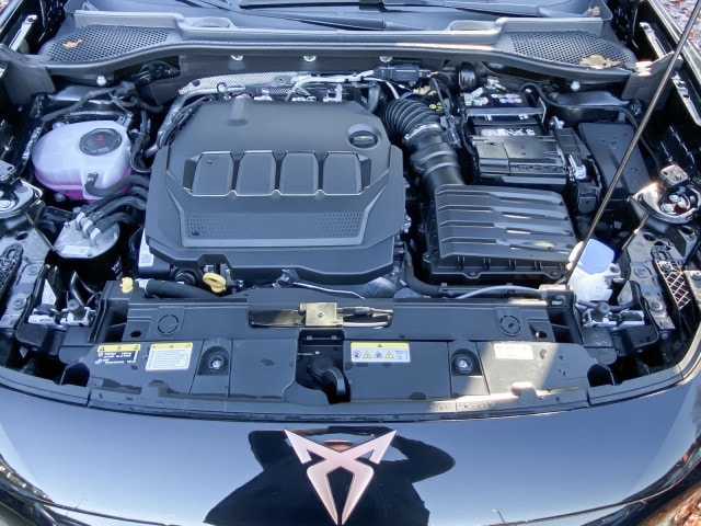 Bild des Autos 13