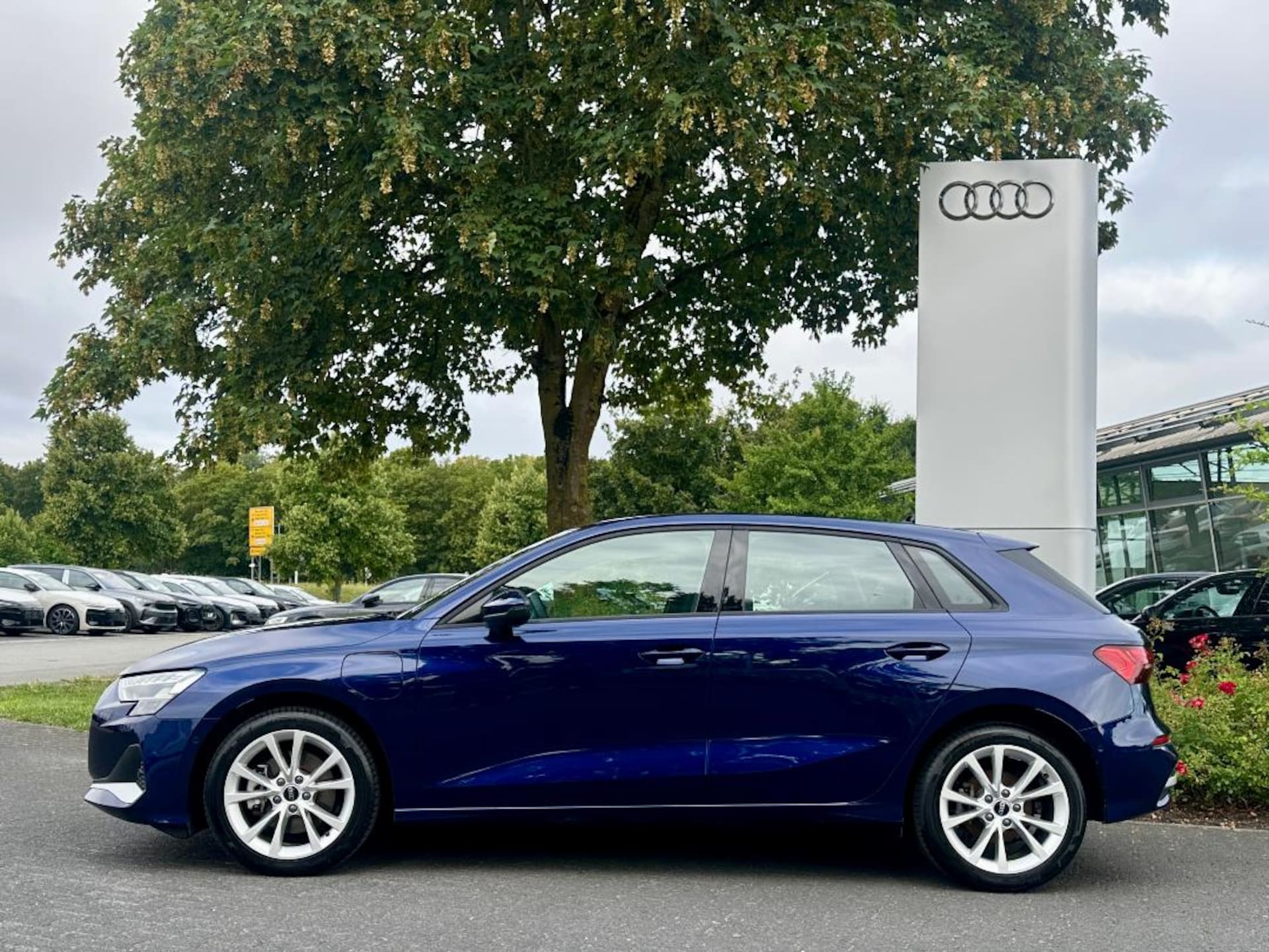 Audi A3 Sportback TFSI e Advanced