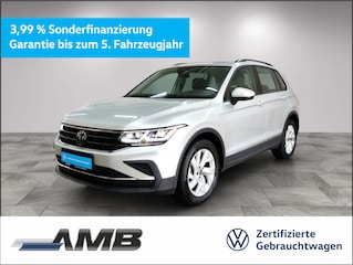 erstes Vorschaubild