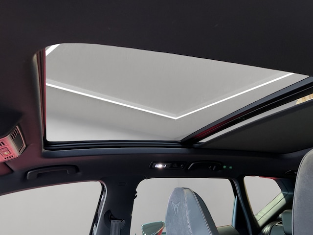 Bild des Autos 12