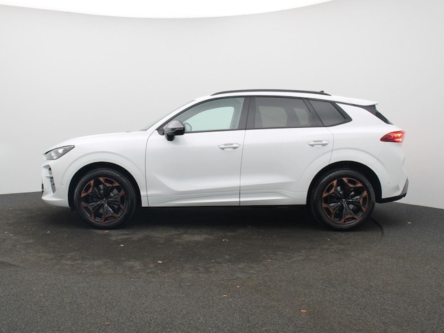 Bild des Autos 4