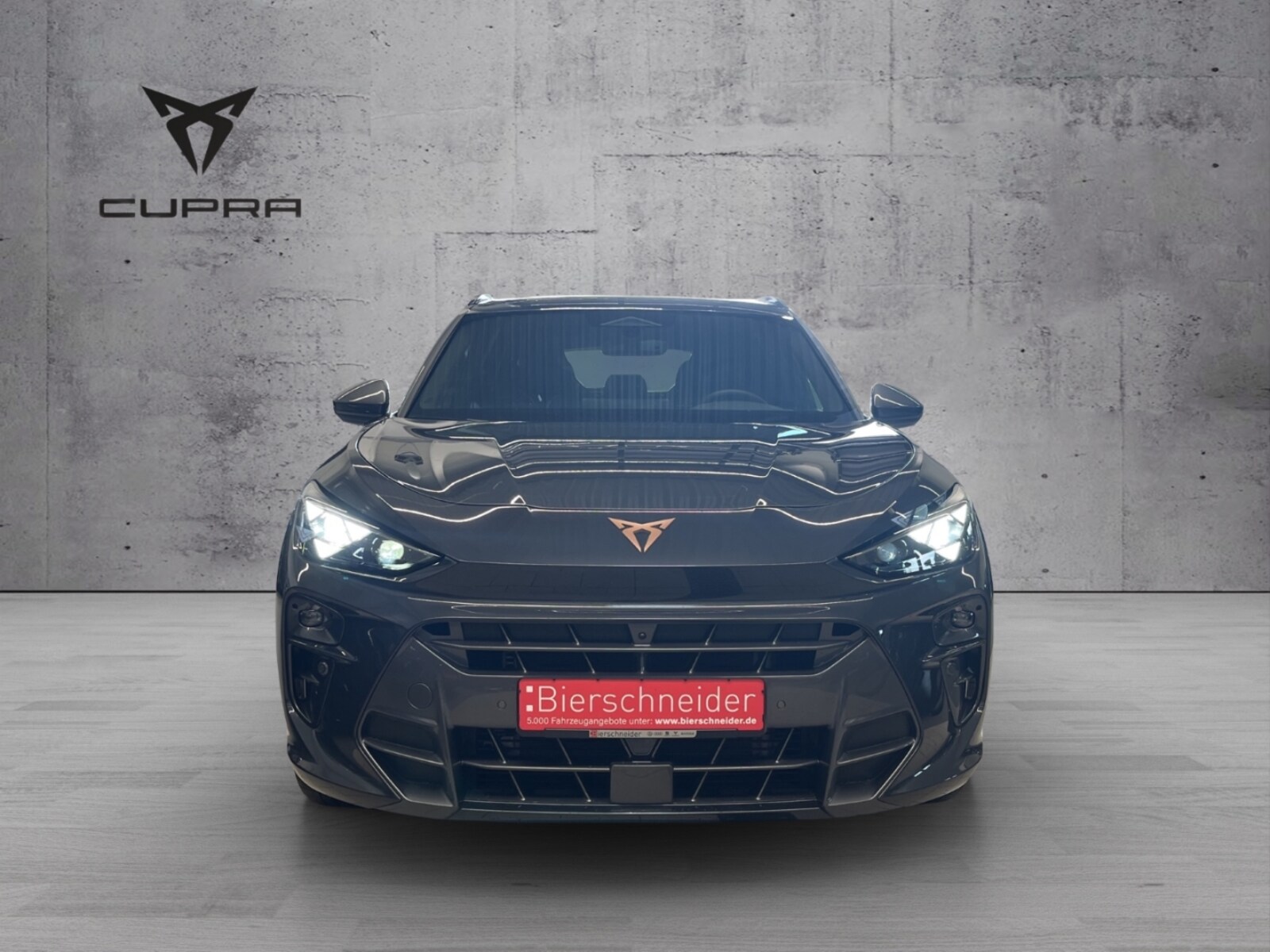 CUPRA Terramar – Bild 2