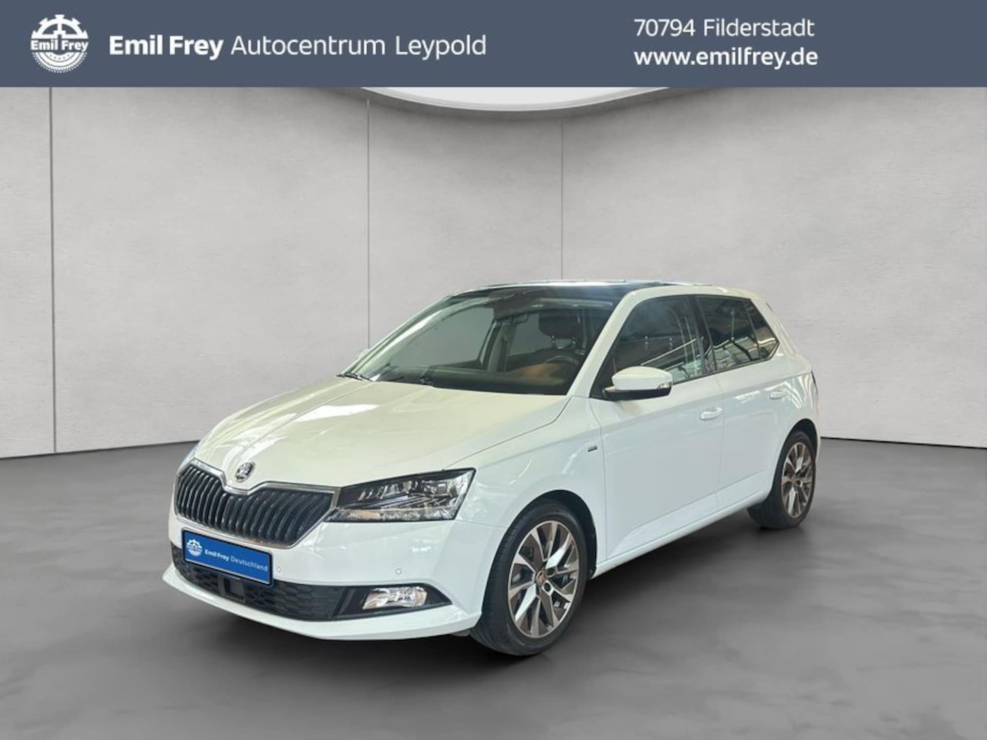 Skoda Fabia CLEVER