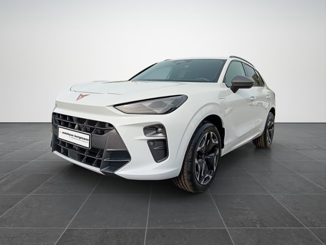 Bild des Autos 2