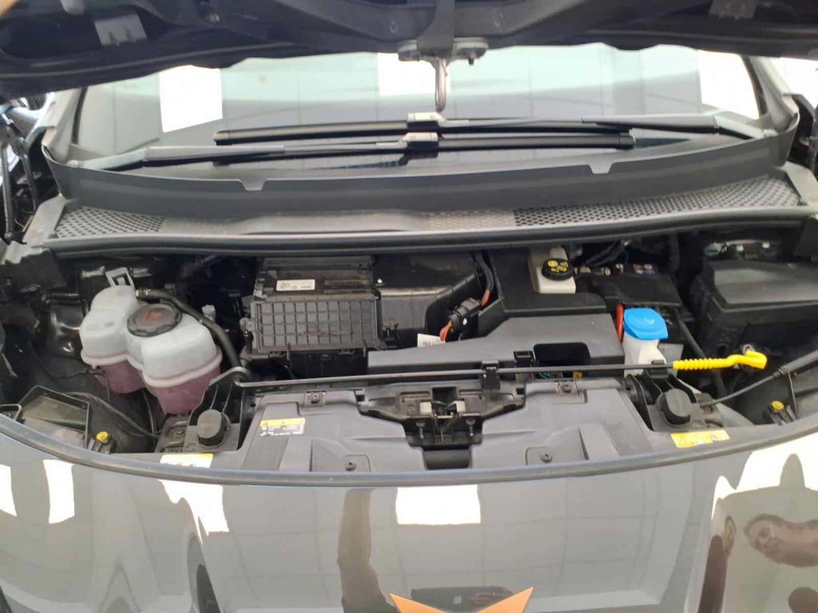 CUPRA Born – Bild 13