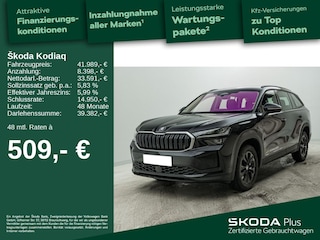 erstes Vorschaubild