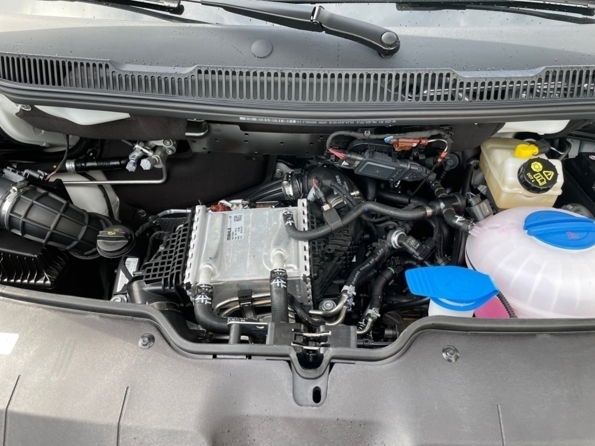 Volkswagen T6.1 Transporter Kasten kurzer Radstand