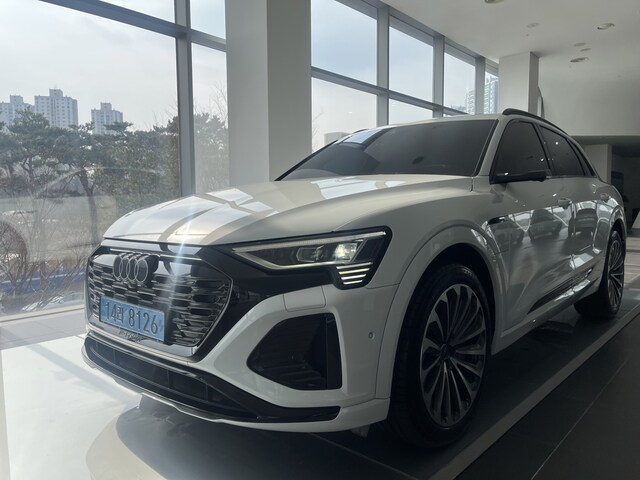 Audi Q8 e-tron 55 quattro Premium kW